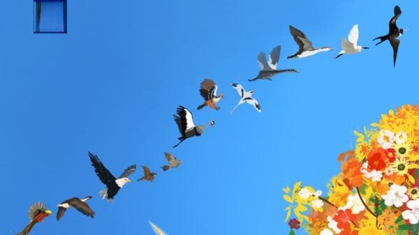基因组学研究揭示：现代鸟类与恐龙曾共存