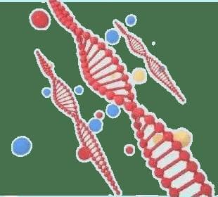一文带你了解唐氏筛查、无创DNA、羊水穿刺三者之间的区别
