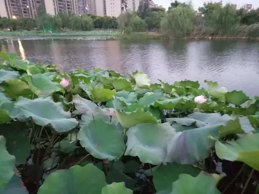 试试这个“调行调息”法，舒缓压力，提升睡眠质量