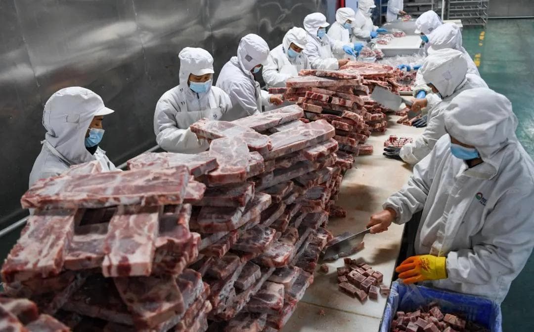 牛羊肉价格为何下跌？