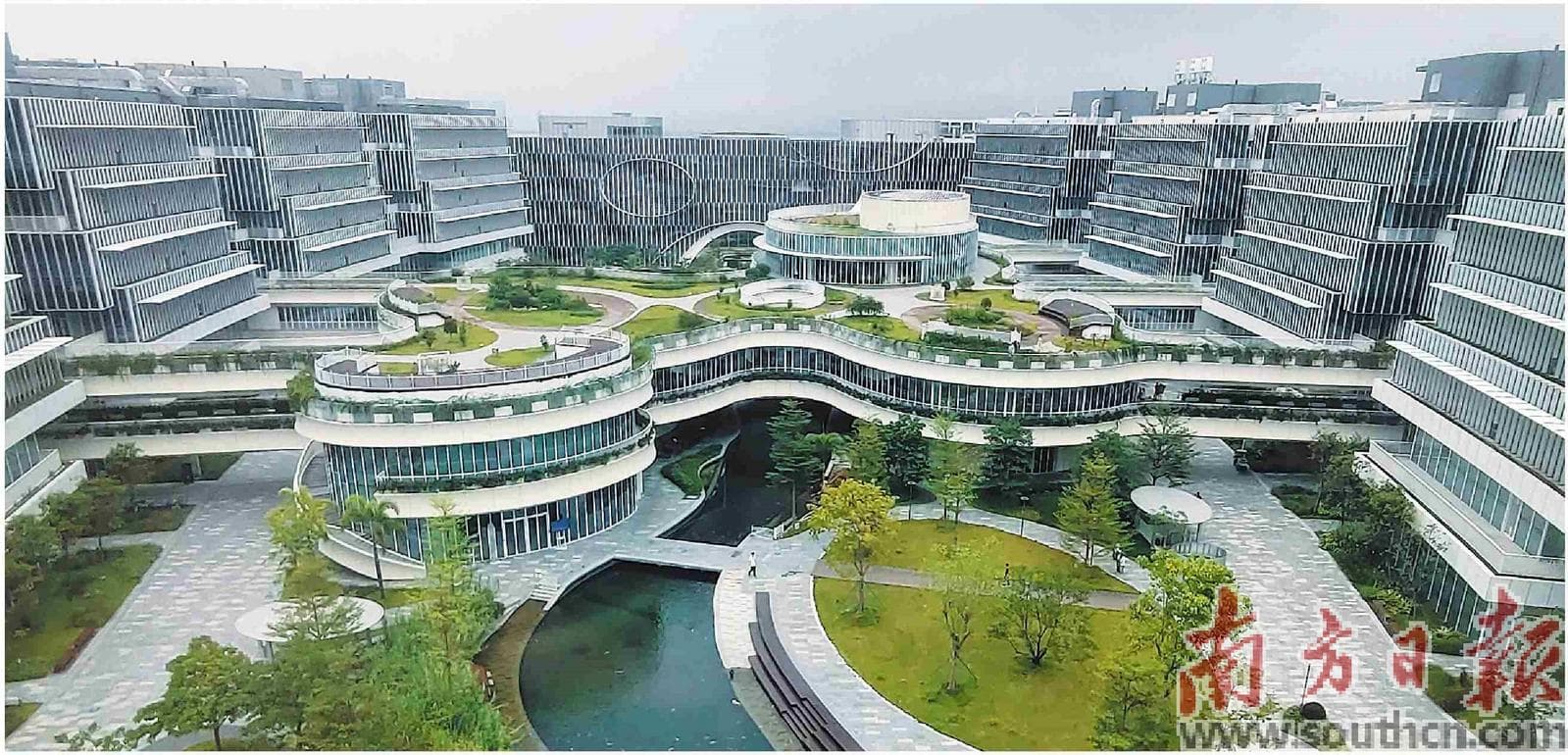 广东教育对外开放：打造粤港澳大湾区国际教育示范区