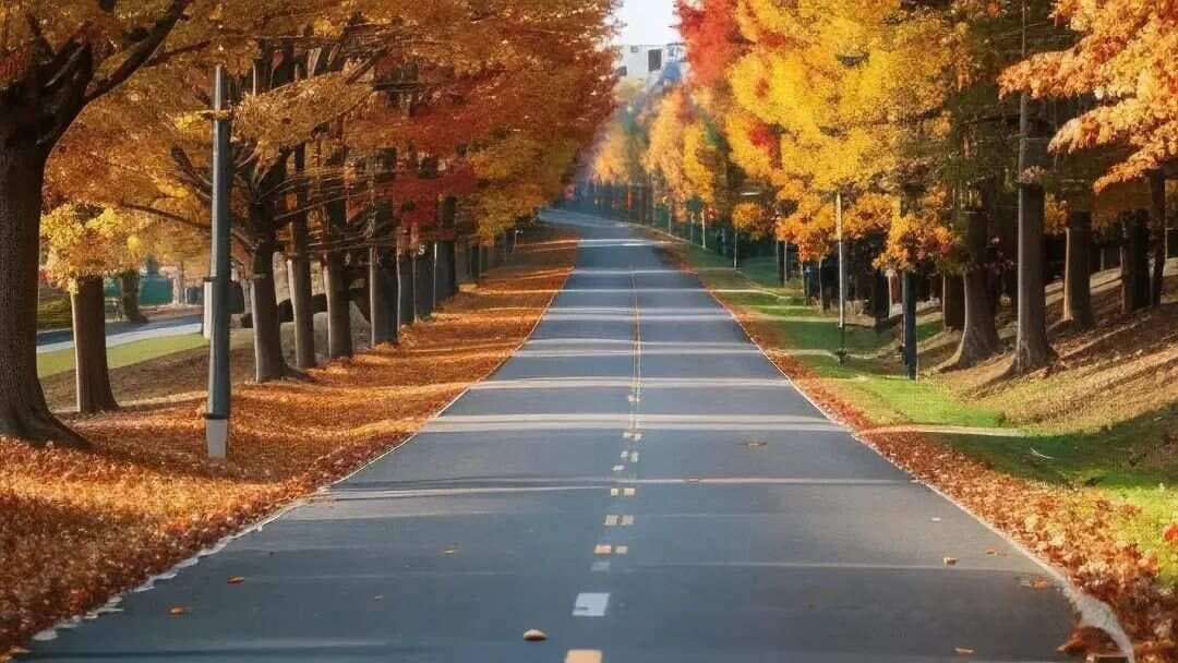 一套完整的交易系统的五大核心要素