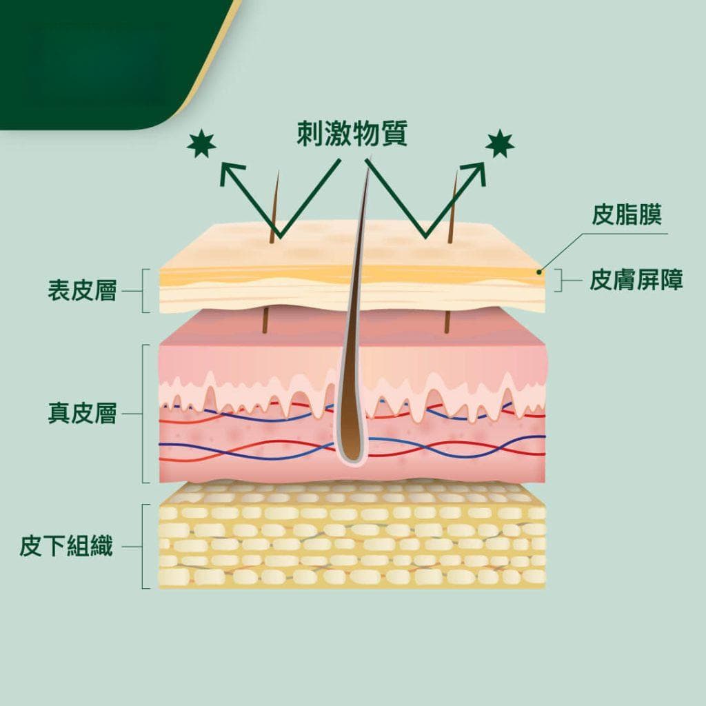 【乾燥型濕疹】脫皮、乾燥痕癢？成因為何？從位置到改善方法一覽。