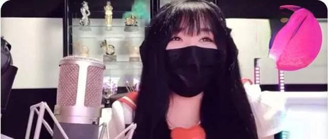 从乔碧萝到冯提莫：网络主播的两种人生