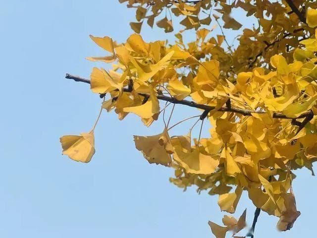 与亲戚相处，不要提这4件事，容易翻脸