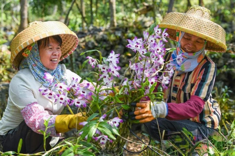 春游好去处！海南这些“网红村”，太出片