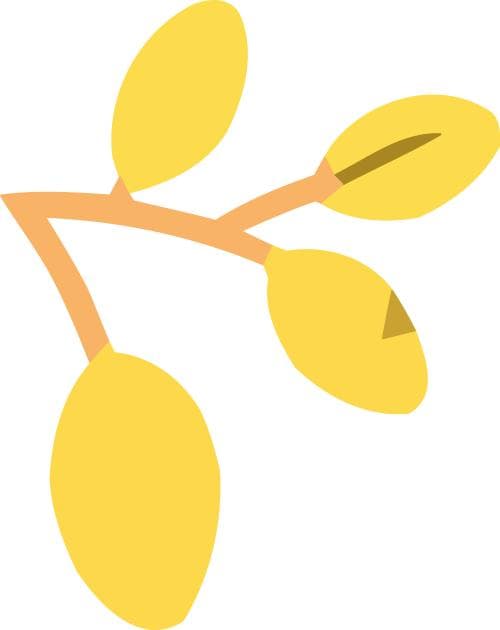 瓜拉纳——具有高度生物活性的巴西国饮