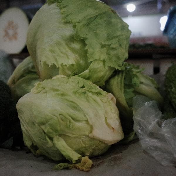 青菜保鲜的最佳方法