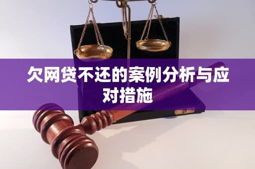 欠网贷不还的案例分析与应对措施