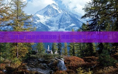 三月厦门鼓浪屿旅游攻略：深度游指南与必体验亮点