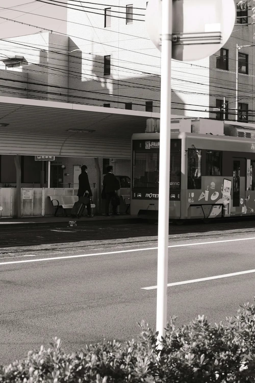 合肥53路公交站点大揭秘：你知道几个？