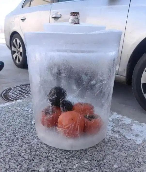 东北冻货知多少？冰天雪地的专属美食文化