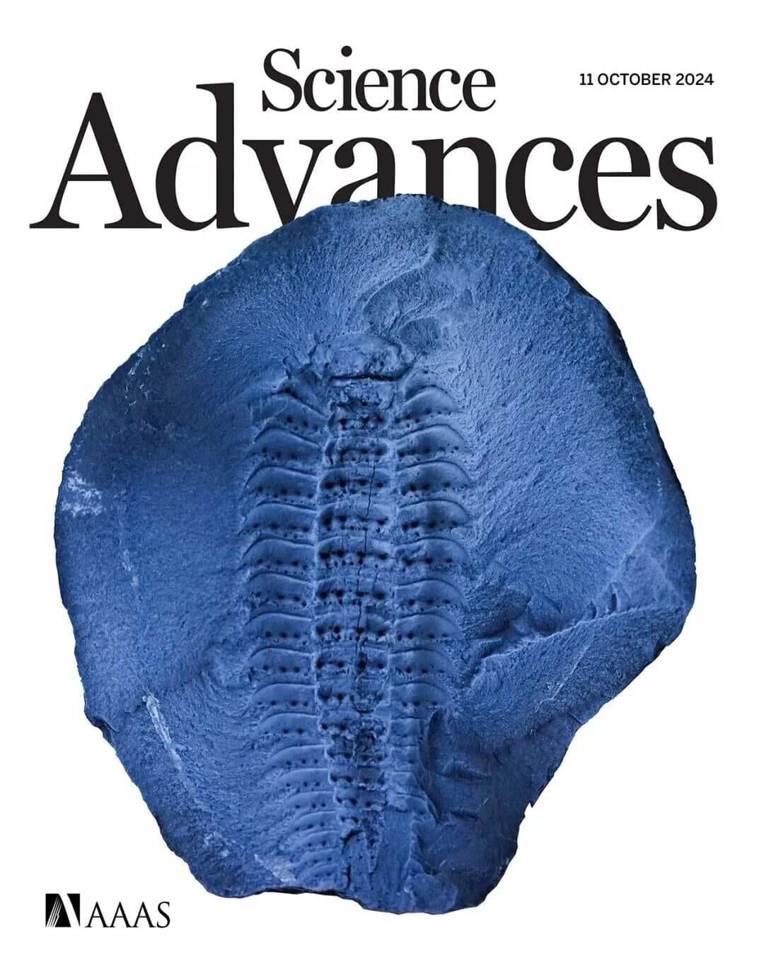 清华团队研发温度自适应智能织物，成果登Science Advances