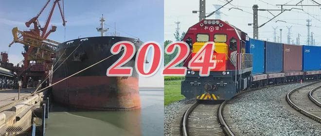 大豆、菜油、葵花油…2024油脂油料进口数据出炉，哪些增哪些减？