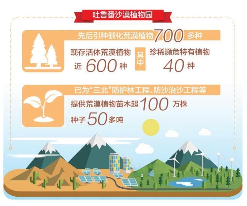 吐鲁番沙漠植物园：600种活体荒漠植物见证防沙治沙之路