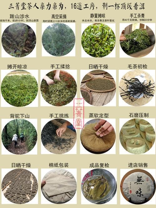 深度解析普洱茶饼：历史渊源、制作工艺及品鉴方法