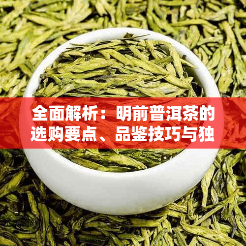 全面解析：明前普洱茶的选购要点、品鉴技巧与独特风味特点