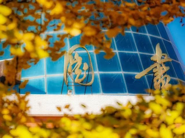 西北农林科技大学培育"秦椒4号"：紫色辣椒背后的科研故事