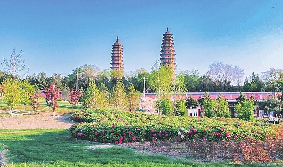 太原春季赏花全攻略：12处最佳赏花地推荐