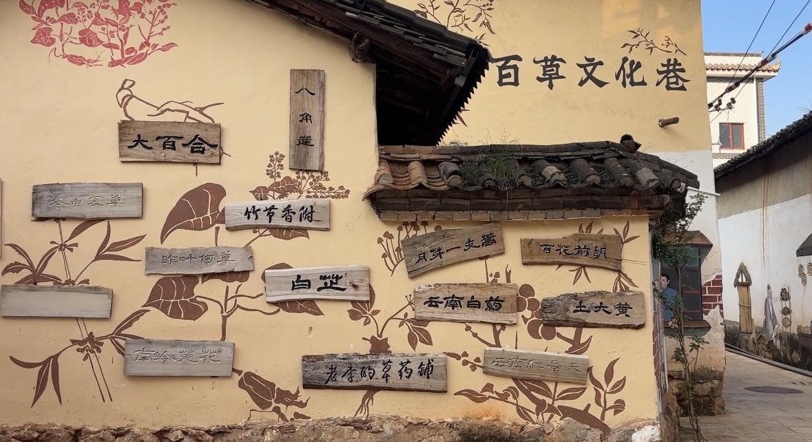 融入昆明“一圈三走廊”发展战略，百草村绘就民族团结新画卷