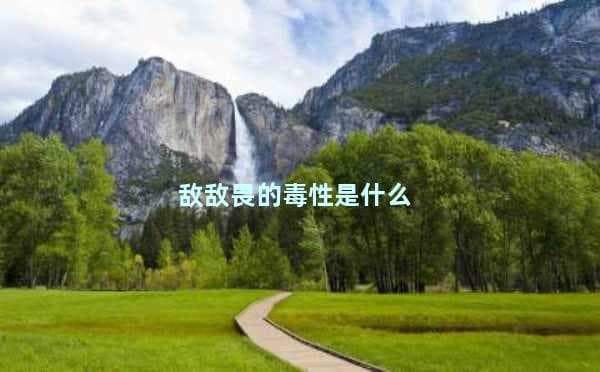 敌敌畏的毒性及使用注意事项