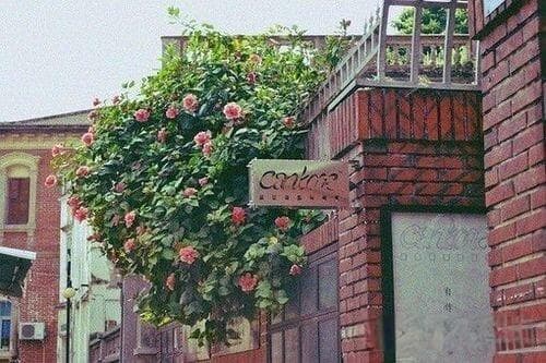 “智商税”现象解析：如何避免成为受害者