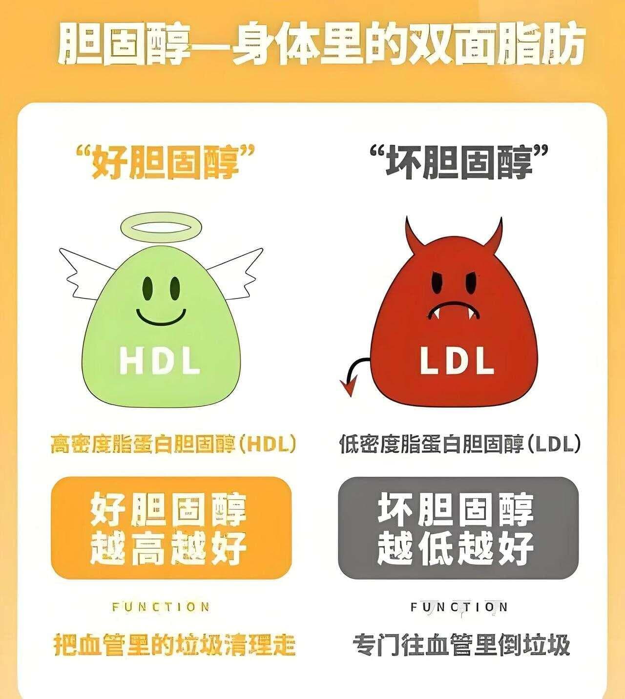 瑞舒伐他汀钙片，不只是降胆固醇，还可治疗8种疾病