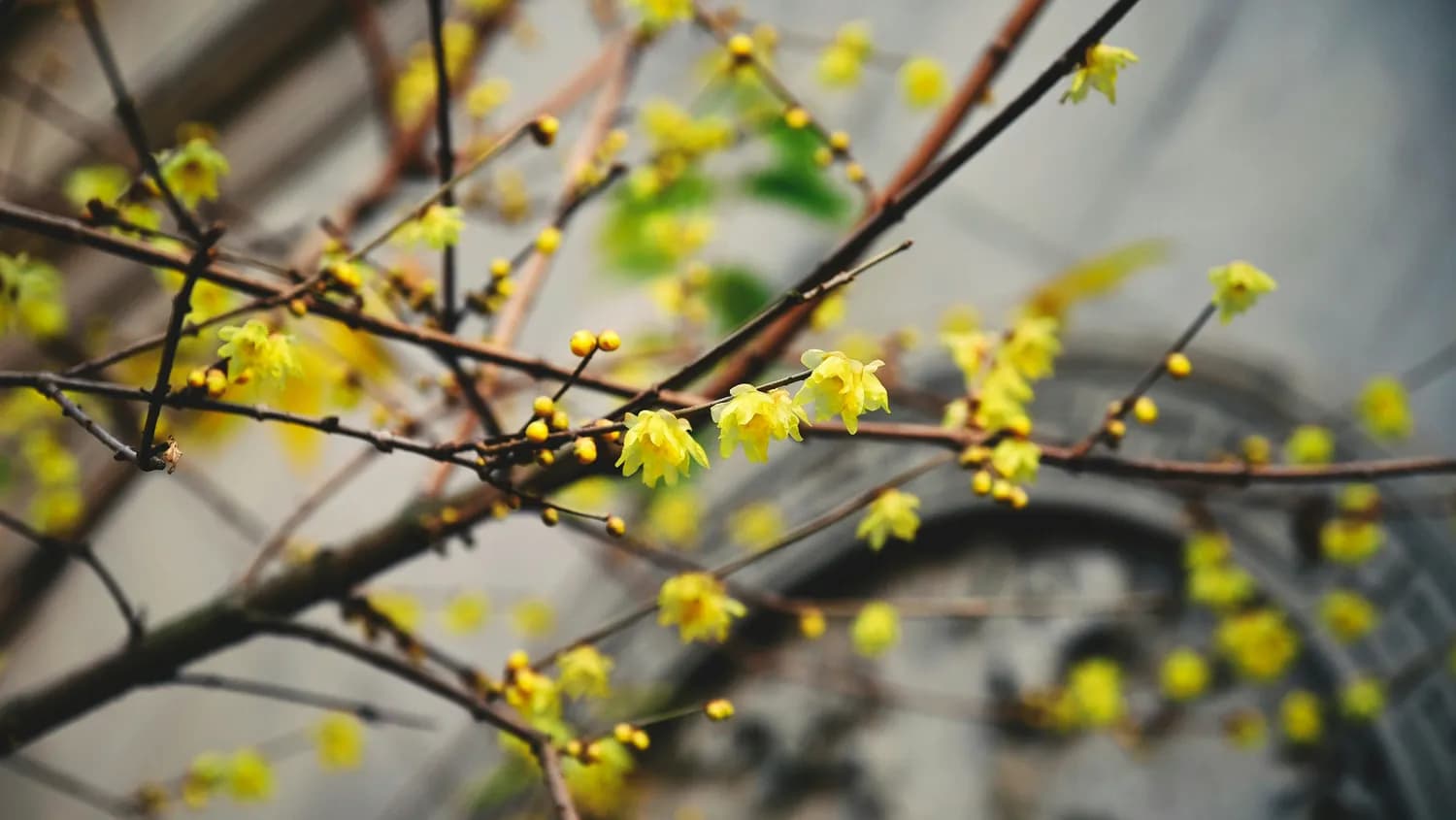 长沙市中心医院专家：立春时节户外活动指南
