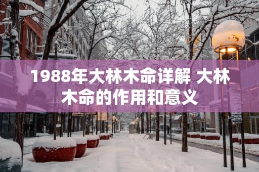 1988年大林木命详解：大林木命的作用和意义
