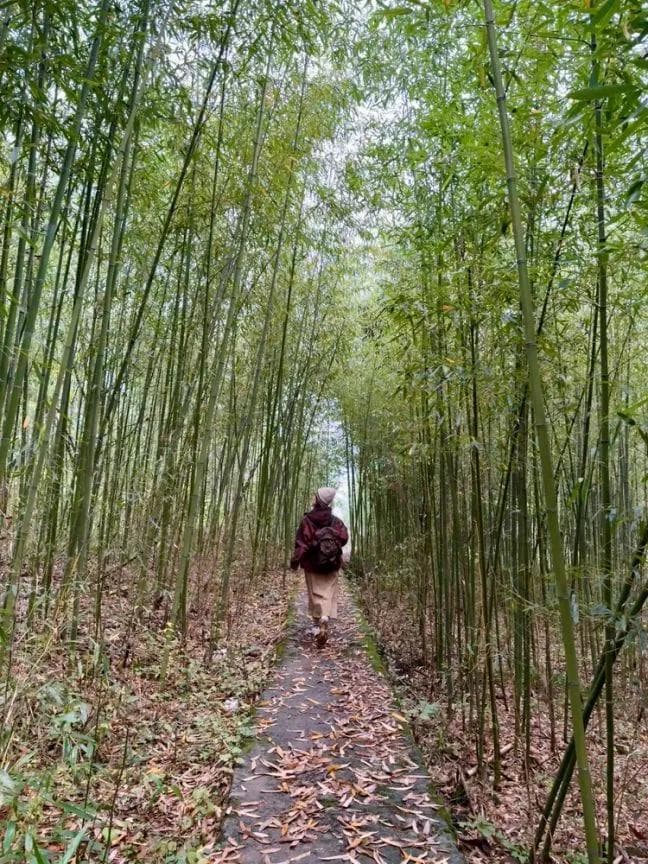 东西部协作|独家视角！翻遍全网也没见过这样的天生三桥