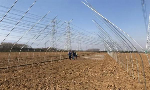新建大棚如何进行土壤改良？