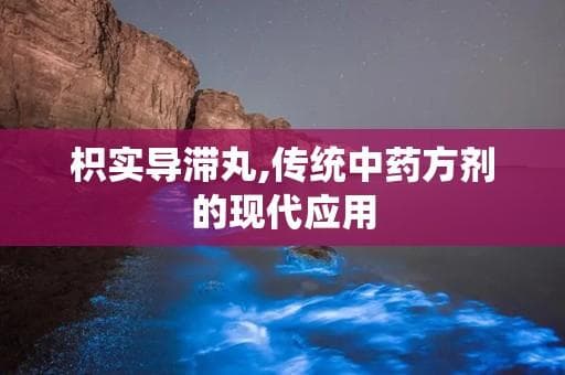 枳实导滞丸,传统中药方剂的现代应用