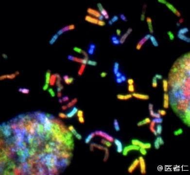 又一款抗癌新药获批，FLT-3抑制剂未来可期？