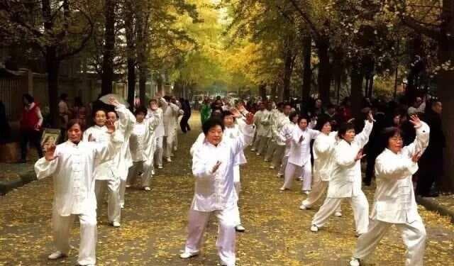 太极拳的练功秘诀—无极桩功