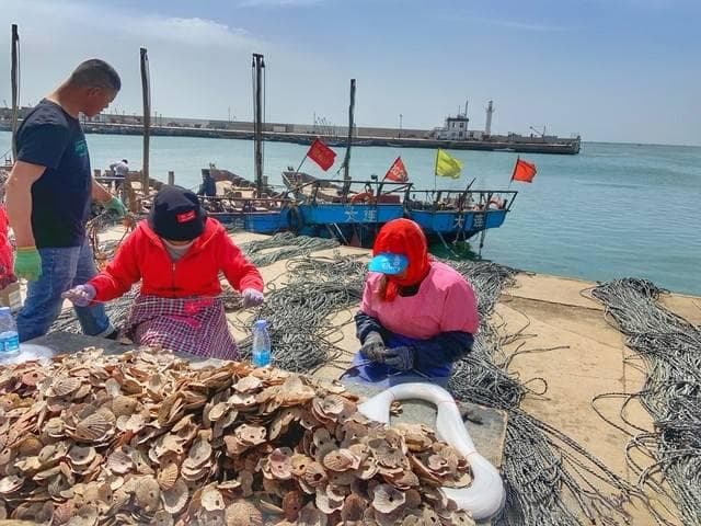 新疆海鲜：离海最远之地的水产传奇