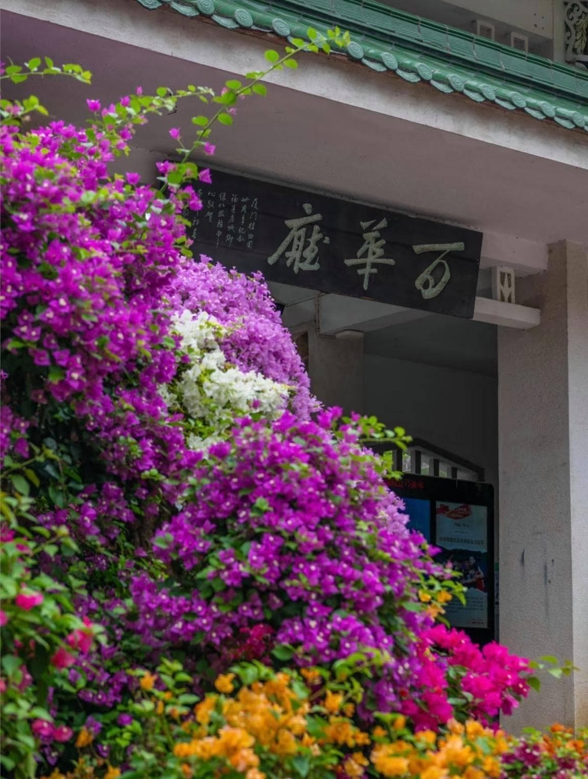 厦门植物园7个网红打卡圣地，多肉植物区排第一名