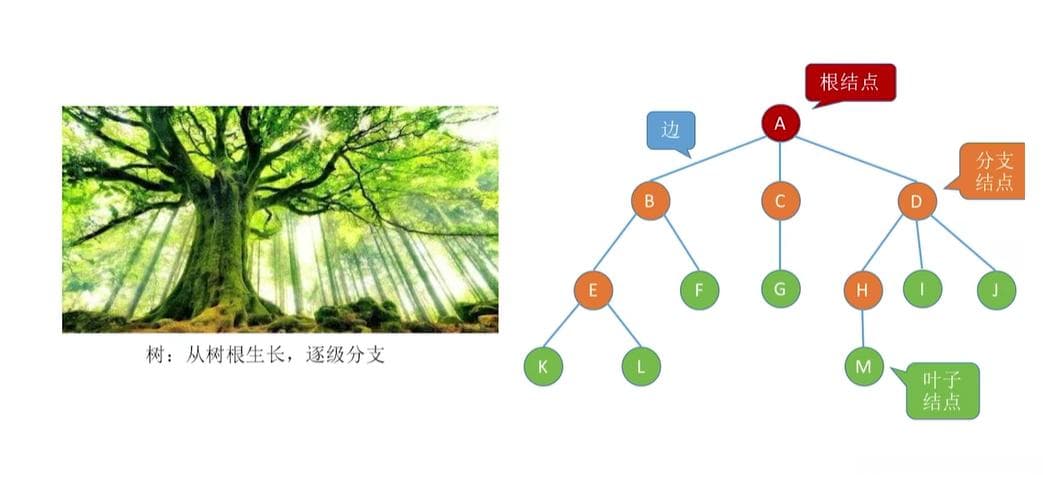 【数据结构】树的定义
