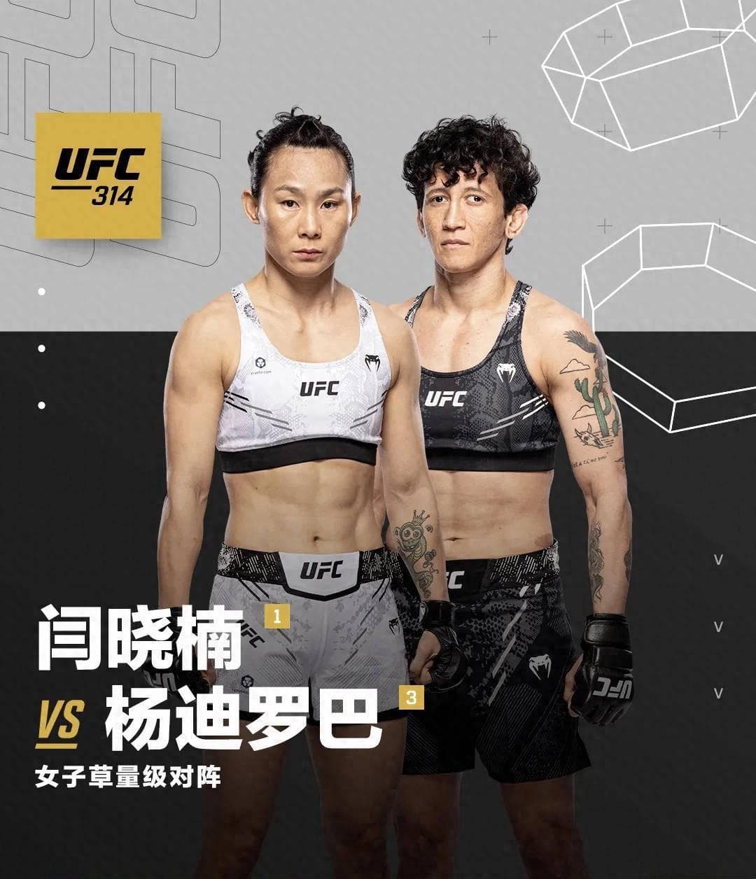 闫晓楠迎战杨迪罗巴，分析胜算与策略