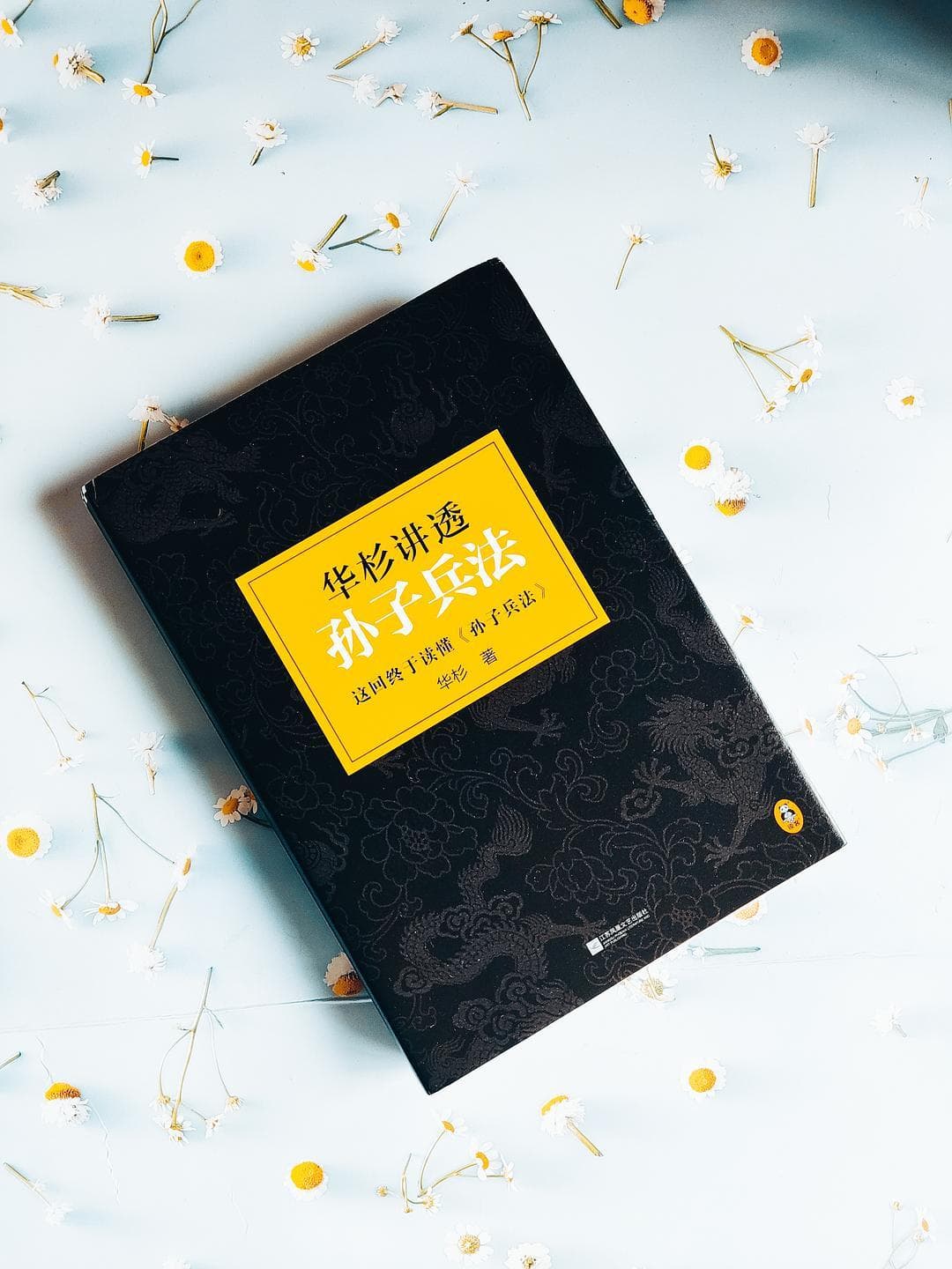 张悬的智慧源泉，所有女生都该读一读的兵法奇书