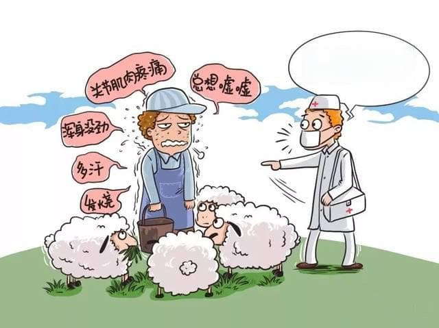 布鲁氏杆菌病预防指南：这些知识你需要了解！