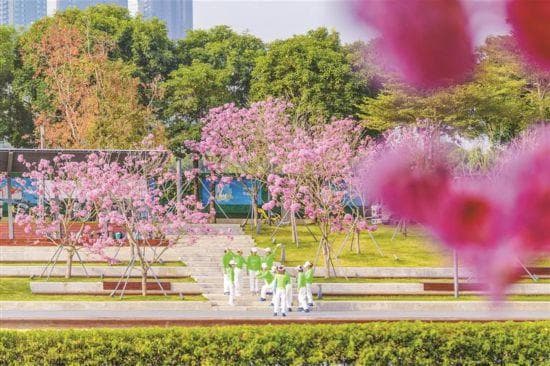 2024年深圳城市管理十件大事：以高品质城市环境托起幸福生活