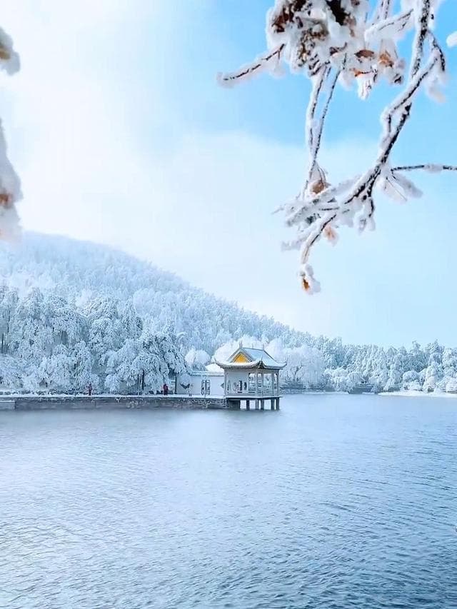 南方雪景天花板，冬日庐山赏雪全攻略