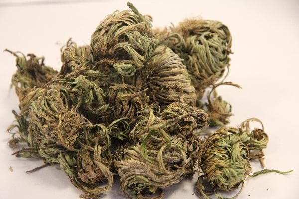 促进消化的中药方子