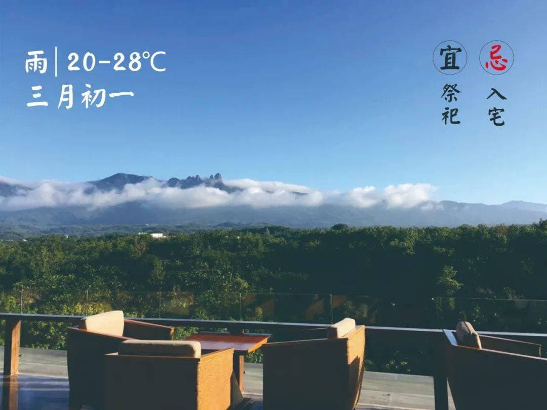 四大南药之首——槟榔的价值！