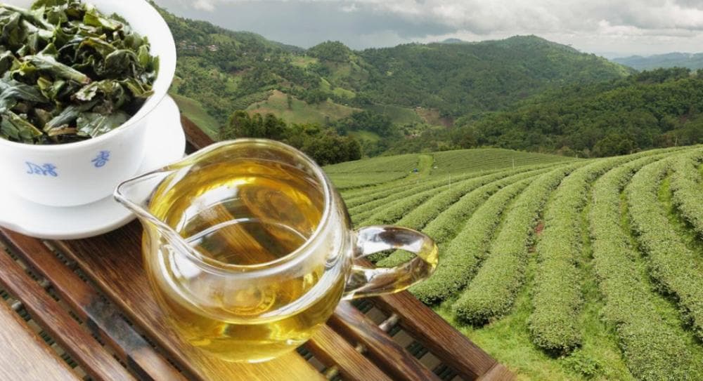 饮茶居然能缓解强直性脊柱炎？专家揭开背后真相！
