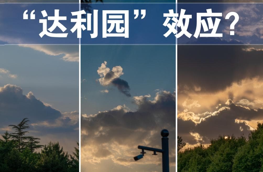 达利园效应是什么意思