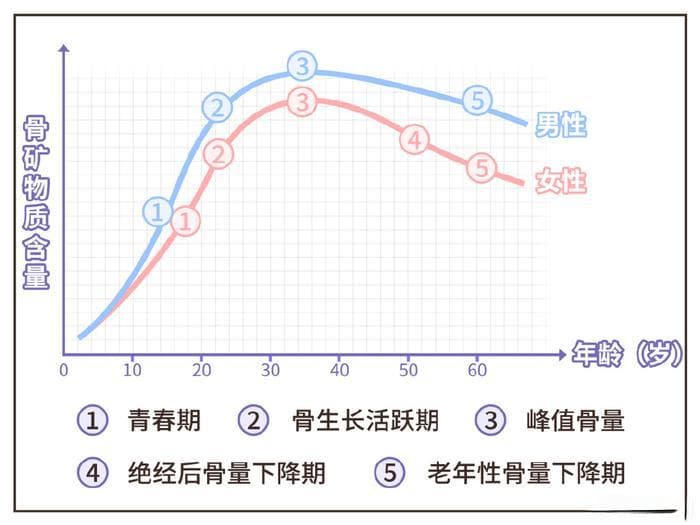 补钙不能只知道吃钙片！做好这 3 步真正补进骨头里