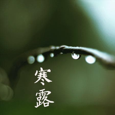 寒露时节南方种植指南：6种短周期蔬菜正当时