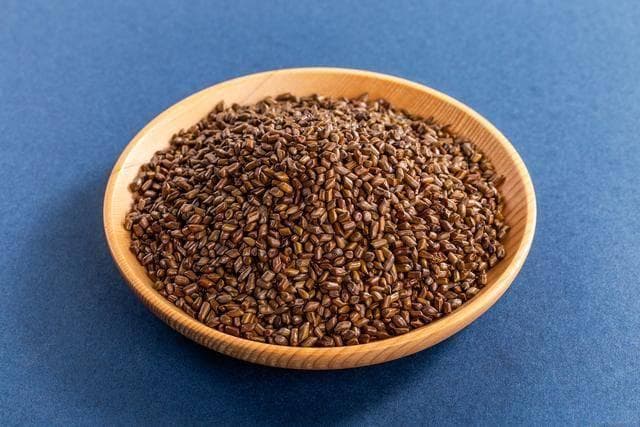 决明子的功效与食用方法，老年人食用注意事项全解析