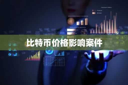 比特币价格影响案件